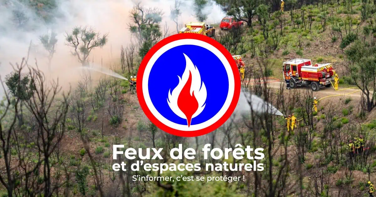 feux